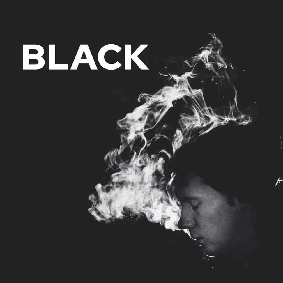 Cover - Music X Webflow Template